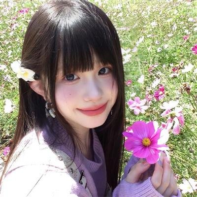 完美的独裁国家